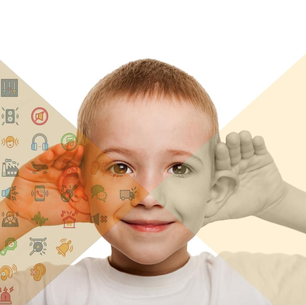 Vision, Hearing and Speech