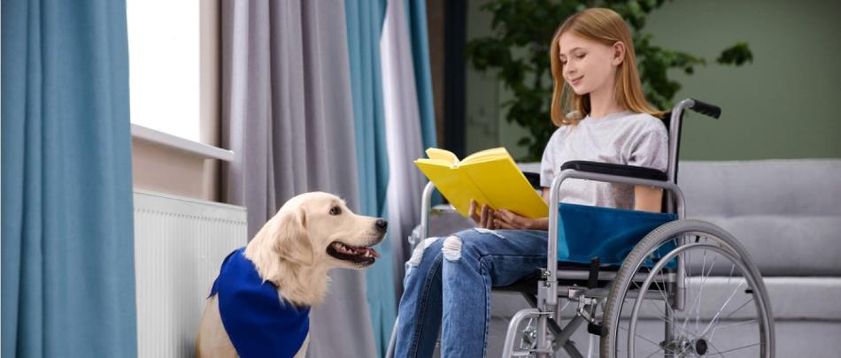 Pet Space Design + Animal Therapy = A Happy Youngster And A Cool Pet Pad
