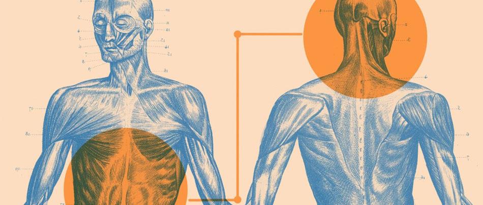 The Gut-Brain Relationship and Role in Health and Well-being