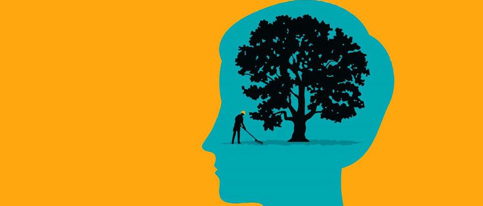 Minding Youth Mental Health