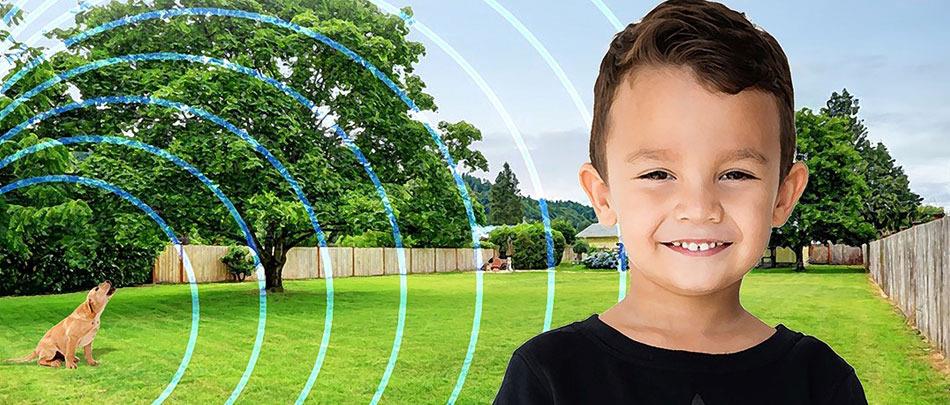 Treatment Techniques for Proper Auditory and Vestibular Function