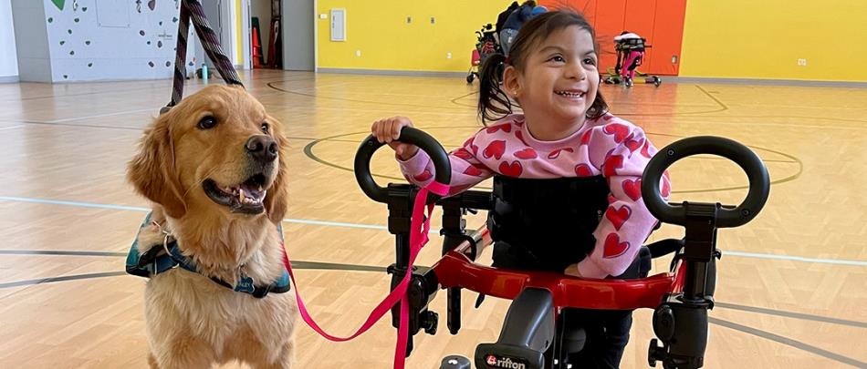 The Unconditional Love of Therapy Dogs