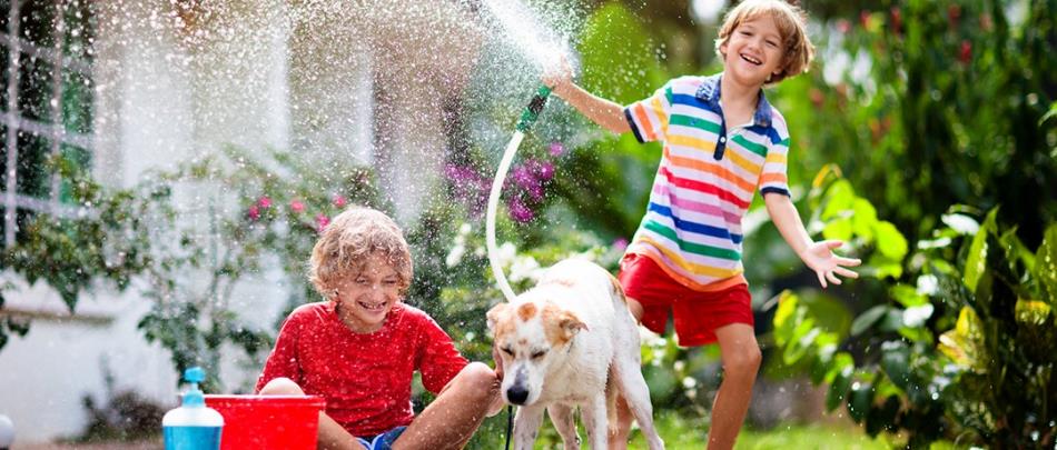 Summer Fun Across the Spectrum